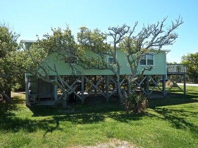 Side View